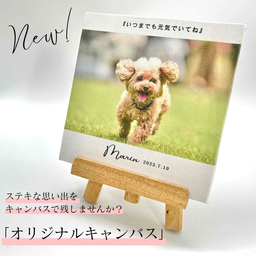キャンバス