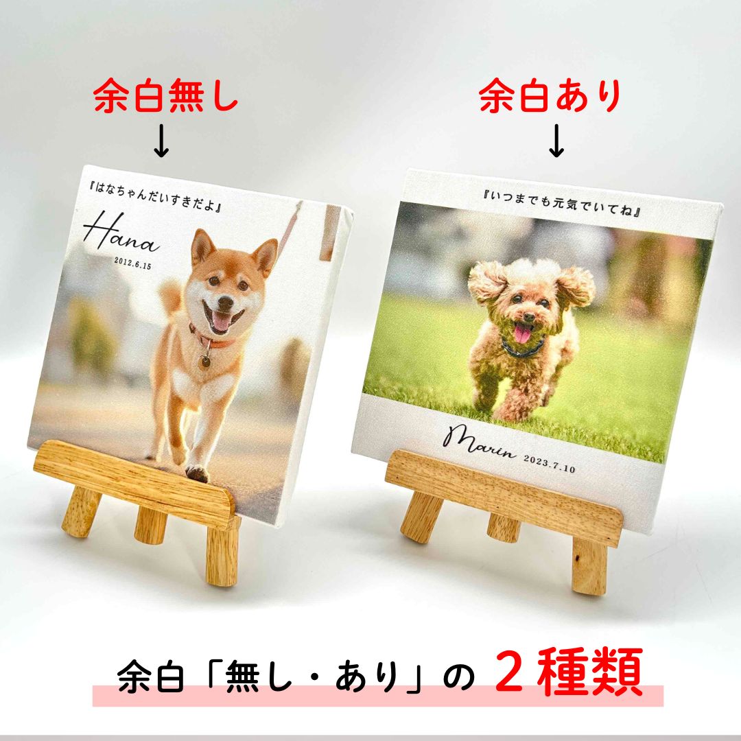 ペット関連