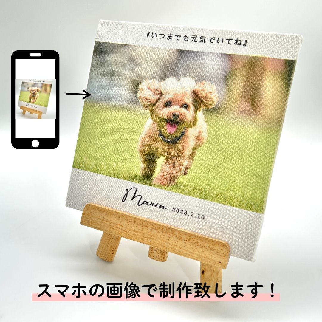 ペット関連