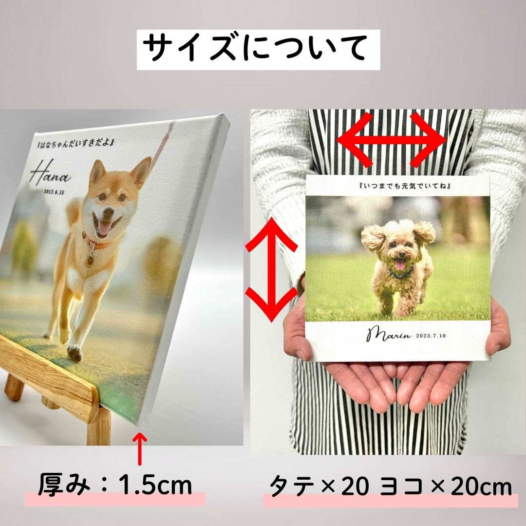 ペット関連