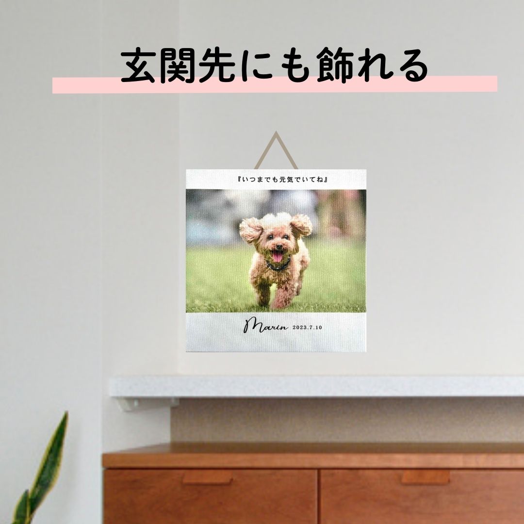 ペット関連