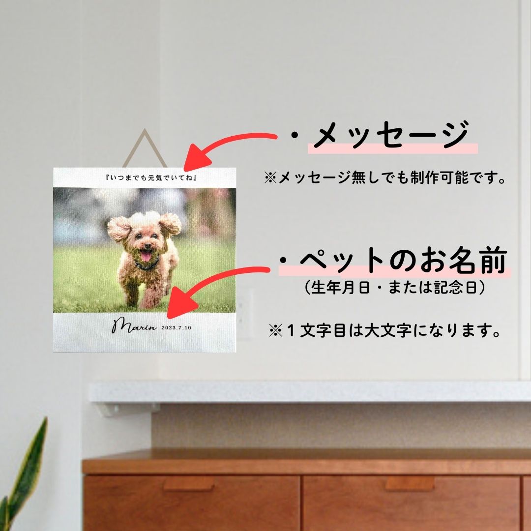 ペット関連