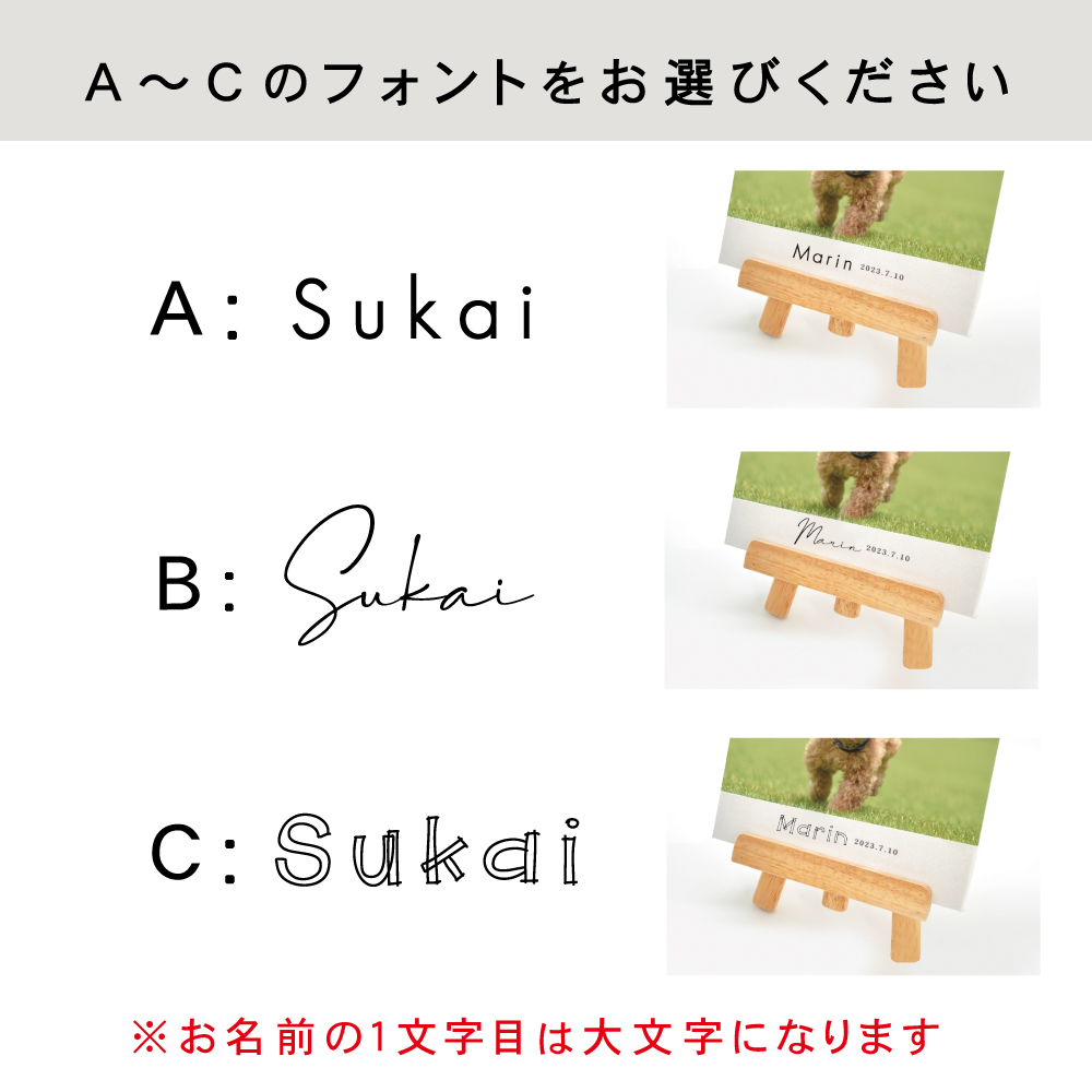 ペット関連