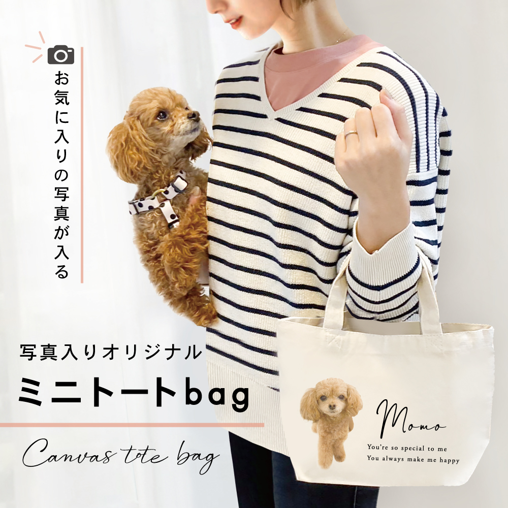 ミニトートbag