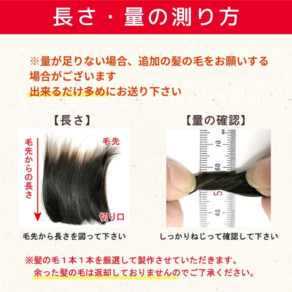 カプセル・ミニカプセル